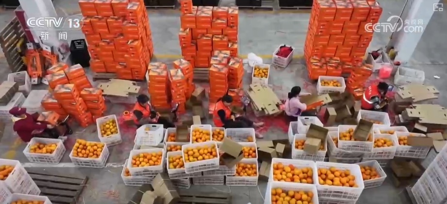 “数字+农业”助推特色农产品“出圈” 精细化服务提质增效让农户得实惠