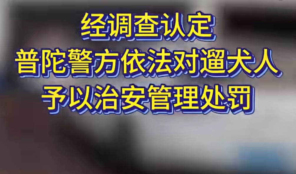 上海警方动真格！已有人被处罚！遛狗不牵绳的注意了