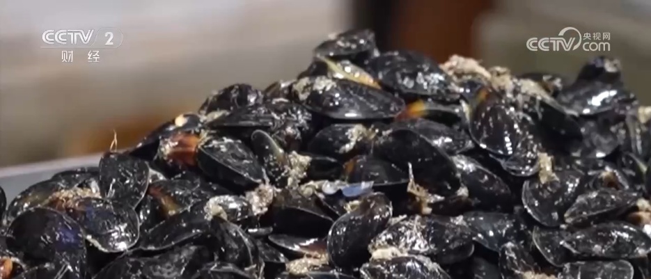 市集“新花样”丰富节前市场 “年经济”活力迸发拉满节日氛围感