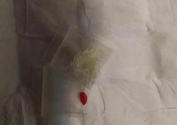 抓获175人！浙江杭州警方开展禁毒集中收网行动！