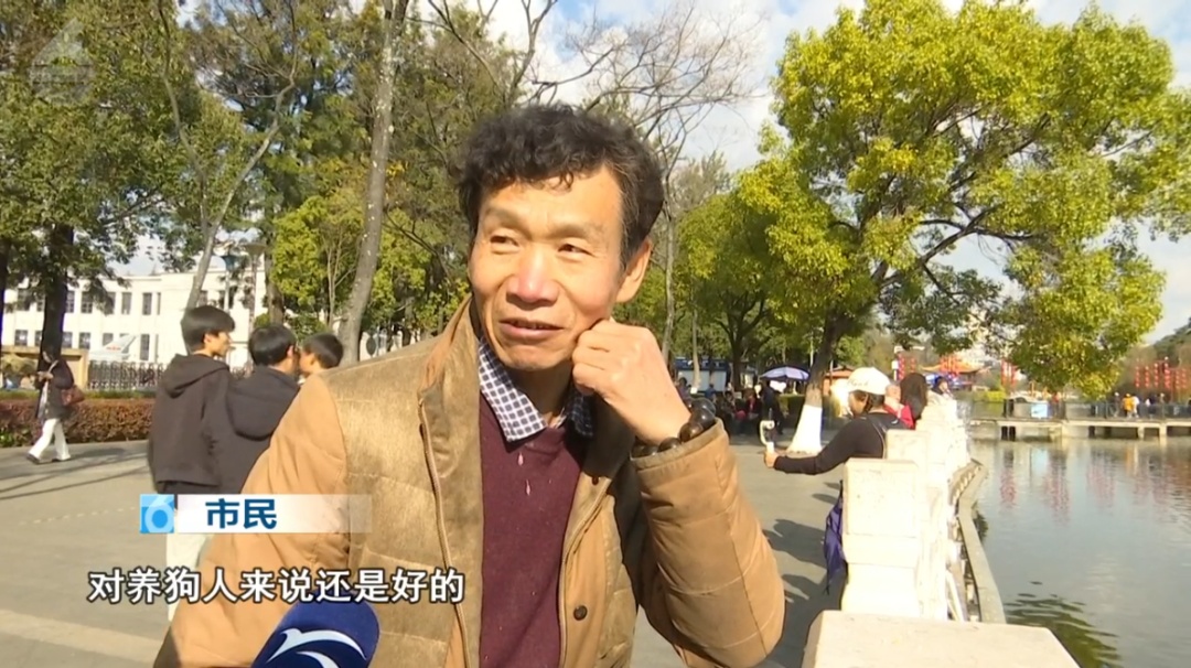 动真格了！很多上海市民乐见新规实行，致人伤害最高可处10日拘留及1000元罚款