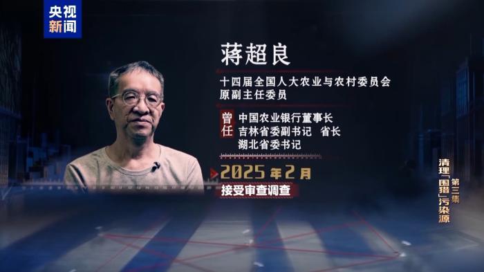 蒋超良大量贪腐细节披露：蒋家保姆买房，商人送上60万