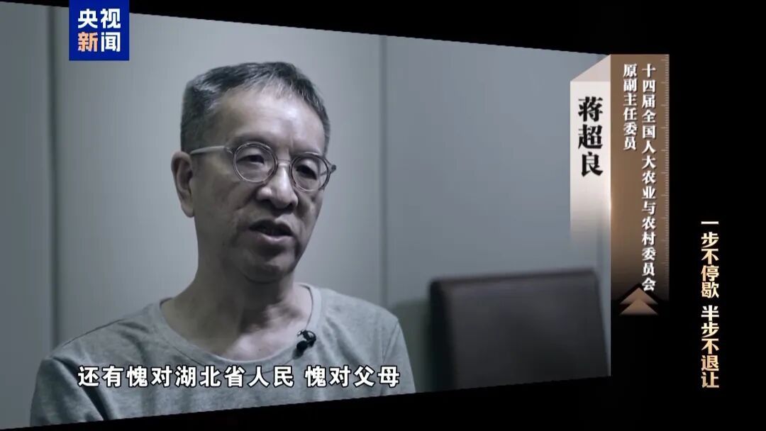 不谈感情只收钱，蒋超良出镜忏悔，有商人出钱出力，还拿60万给其保姆买房