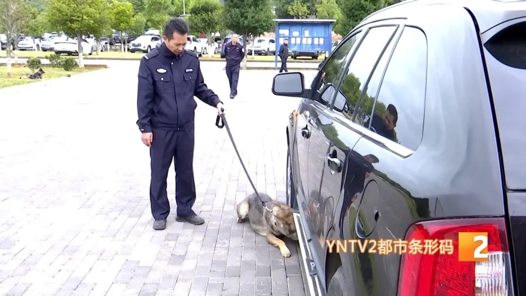 不会说话的特殊“警员”却屡立奇功！它们都来自昆明……