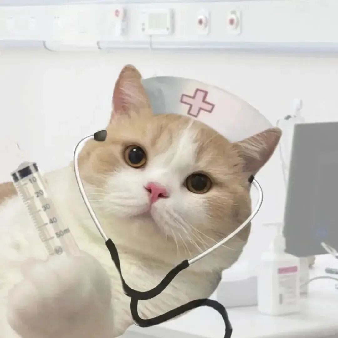 为什么明明什么事情都没做 却总感觉很累？