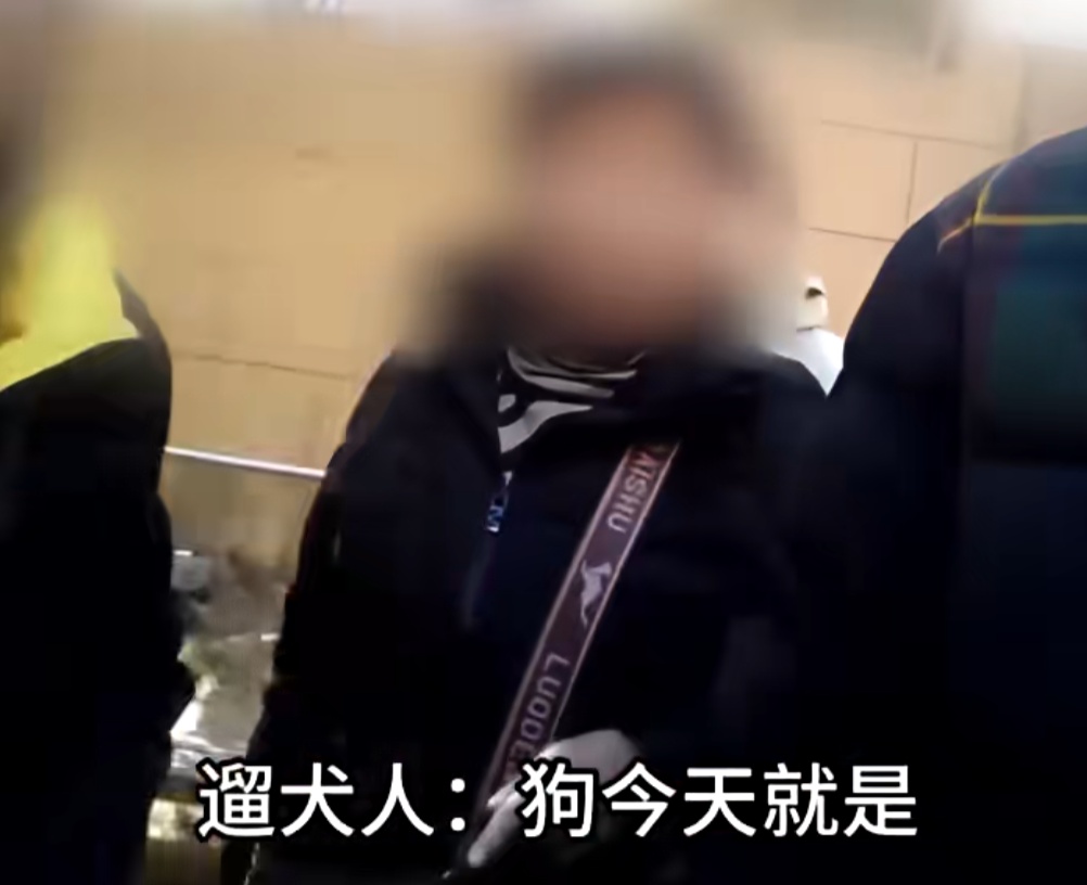 上海警方动真格！已有人被处罚！遛狗不牵绳的注意了