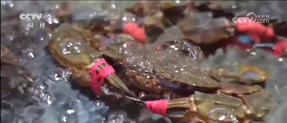 市集“新花样”丰富节前市场 “年经济”活力迸发拉满节日氛围感