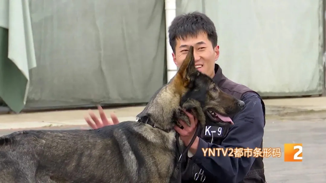 不会说话的特殊“警员”却屡立奇功！它们都来自昆明……