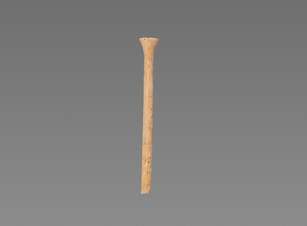 陕西丰京遗址新发现：西周骨笄见证女子及笄之礼