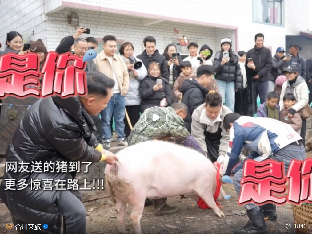 民俗学者：合川刨猪宴唤起乡土记忆，这是人们渴望的“年味”