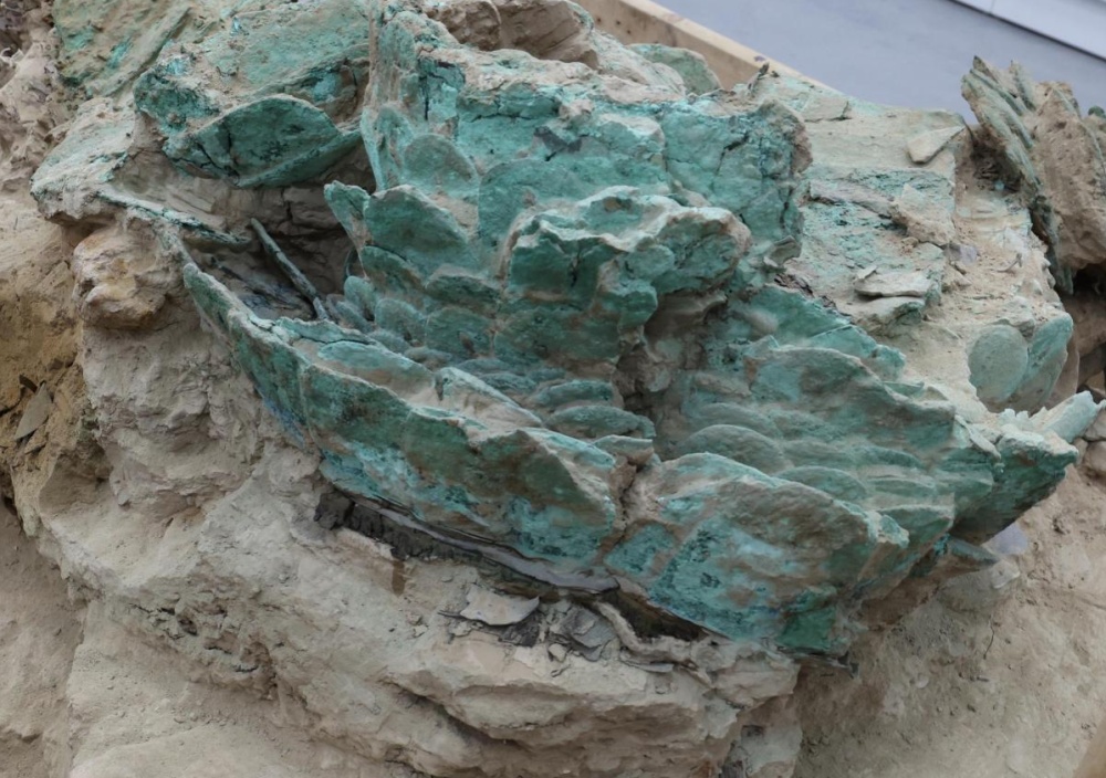 国内唯一唐代鎏金铜甲被复原！6项重大成果发布→