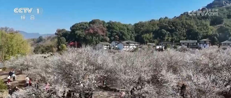 “土味消费”圈粉！特色乡村文旅点燃经济热引擎 为振兴开局注入蓬勃新动能