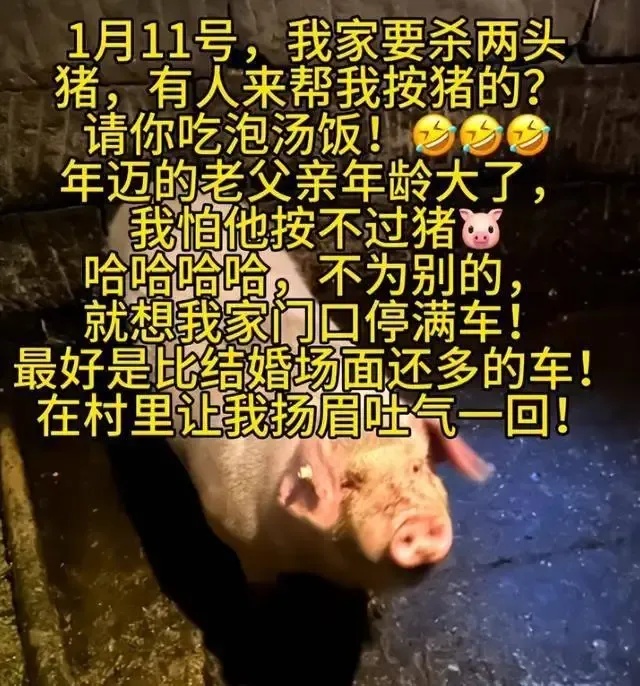 民俗学者：合川刨猪宴唤起乡土记忆，这是人们渴望的“年味”