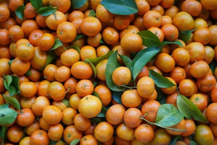 沙糖桔大量上市，不少人“按箱猛炫”！这些人群需要谨慎食用