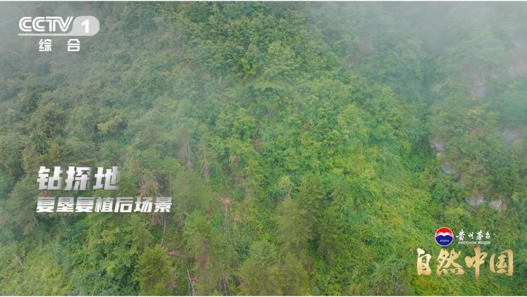 跟随中国地质人，看“隐形金矿”如何现身！