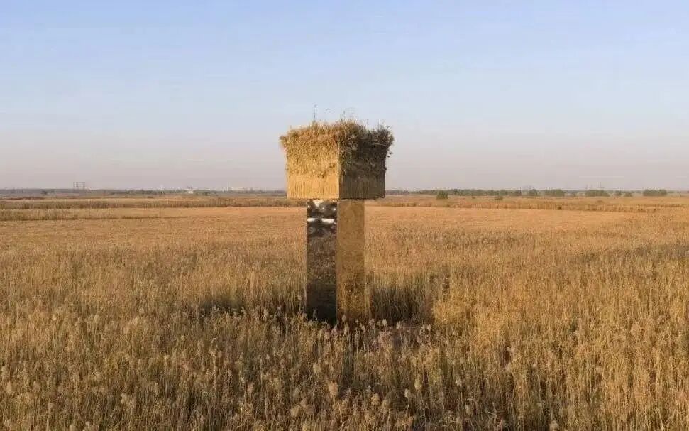 湖南洞庭湖一镜面艺术装置被指“人造候鸟屠场”？ 当地回应：正拆除