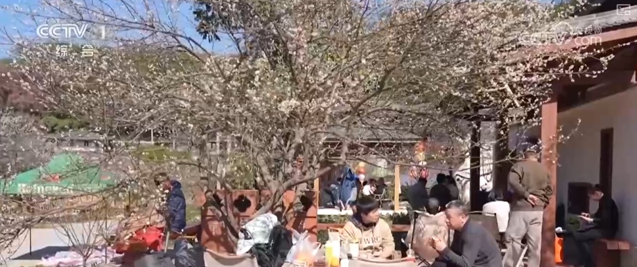 “土味消费”圈粉！特色乡村文旅点燃经济热引擎 为振兴开局注入蓬勃新动能