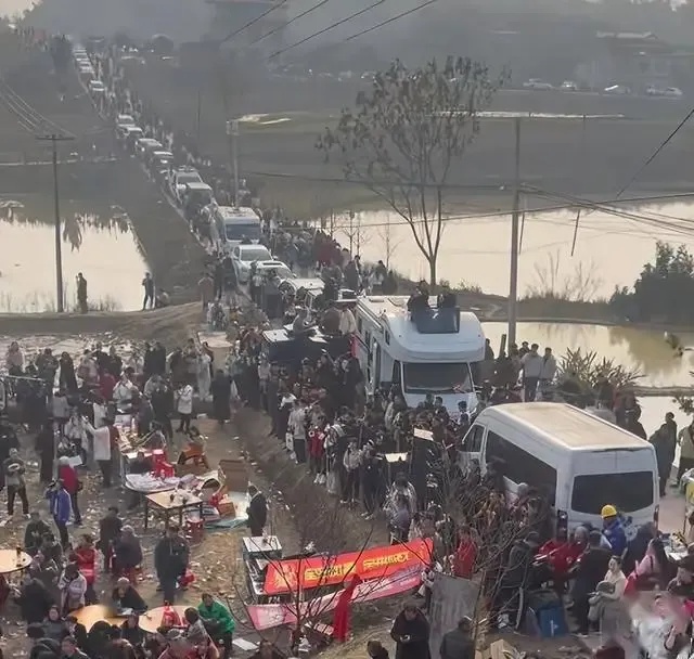 民俗学者：合川刨猪宴唤起乡土记忆，这是人们渴望的“年味”