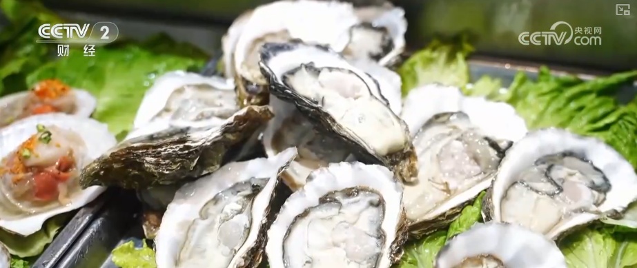 特色、升级、个性……借助关键词多视角透视“年经济”新意十足亮点多