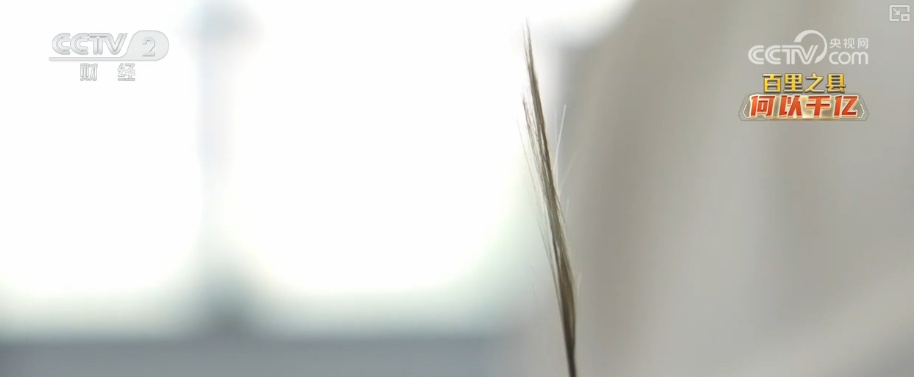 凭什么行？何以千亿？透视一串串跳动数字 解锁发展“密钥”