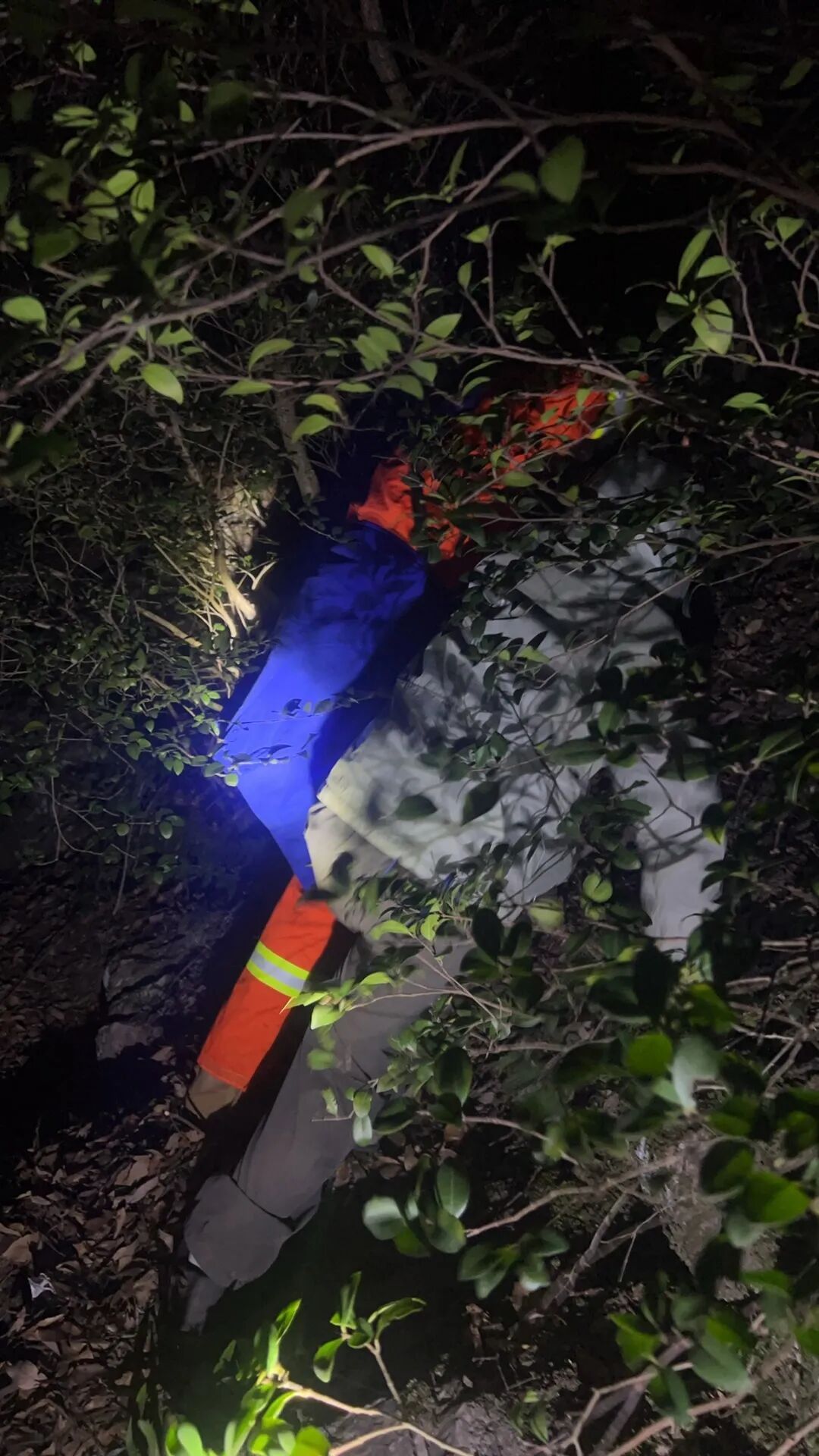 3个宝妈带4个娃被困悬崖边，原本组团爬午潮山，结果误入野路一直到天黑