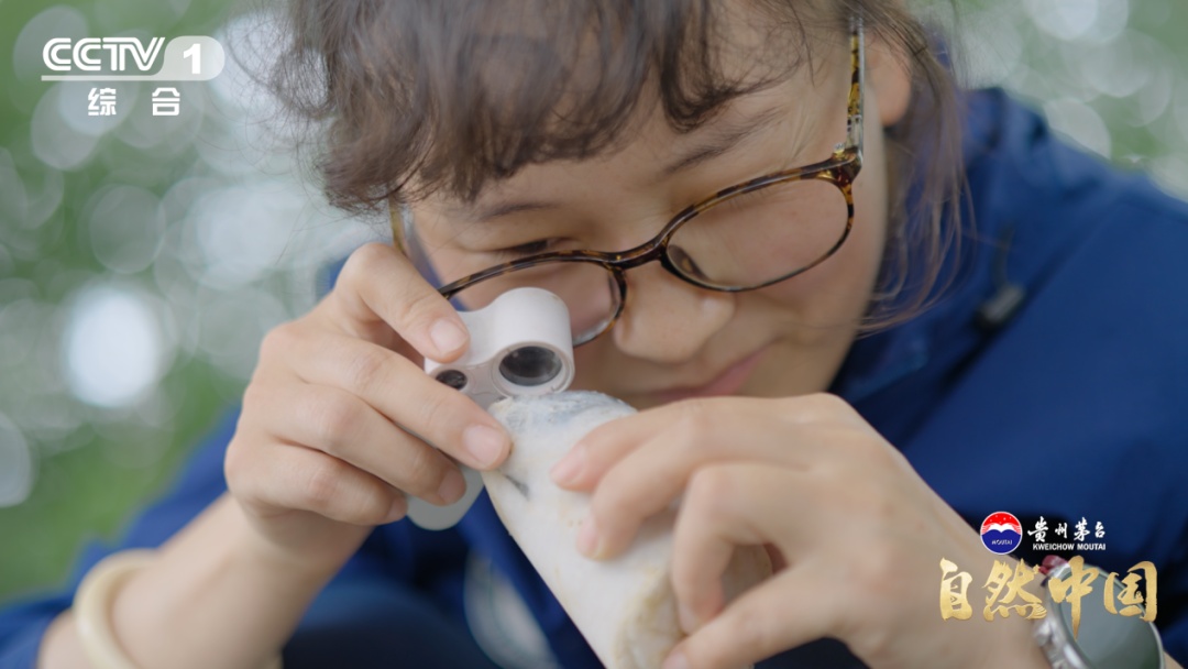 跟随中国地质人，看“隐形金矿”如何现身！