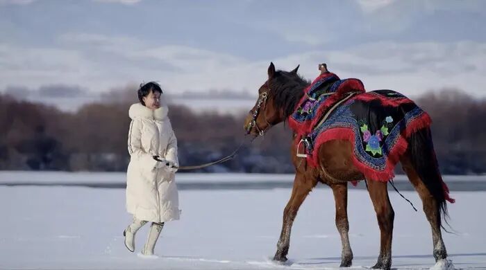 惜别贺娇龙：马背上的赤诚永远滚烫