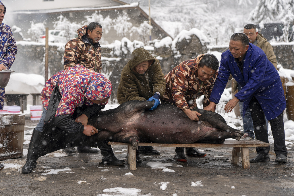 民俗学者：合川刨猪宴唤起乡土记忆，这是人们渴望的“年味”