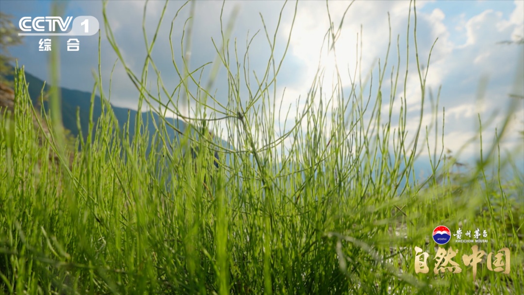 跟随中国地质人，看“隐形金矿”如何现身！