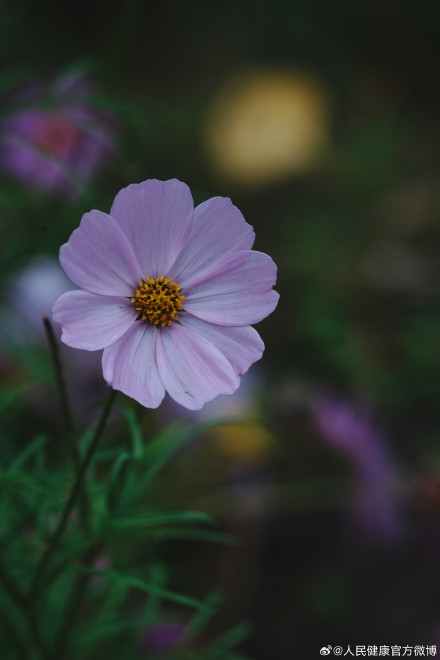 女子暴增58斤以为吃胖查出尿毒症