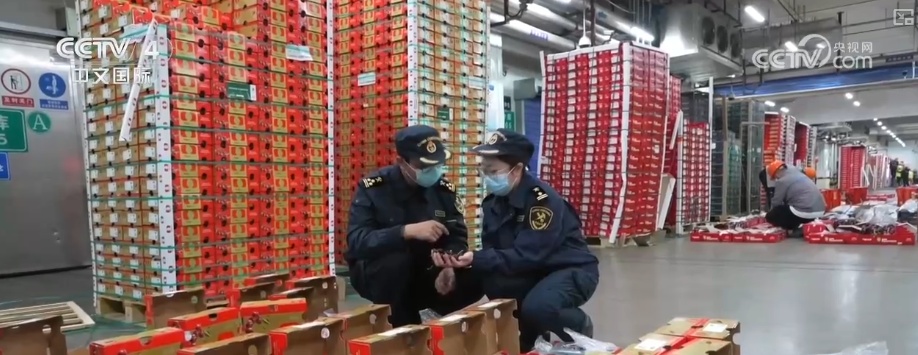 中国外贸提质增效利好积聚 跨境贸易新措施“组合拳”助力跨境物流高效畅通 中国外贸提质增效利好积聚 跨境贸易新措施“组合拳”助力跨境物流高效畅通