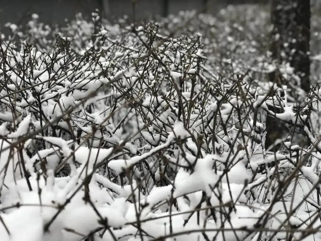 最冷-38℃！？入冬以来最低温，辽宁即将进入冷冷冷……