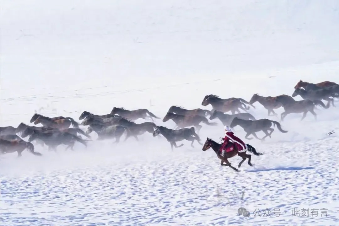 那抹“鲜衣怒马”从未远去