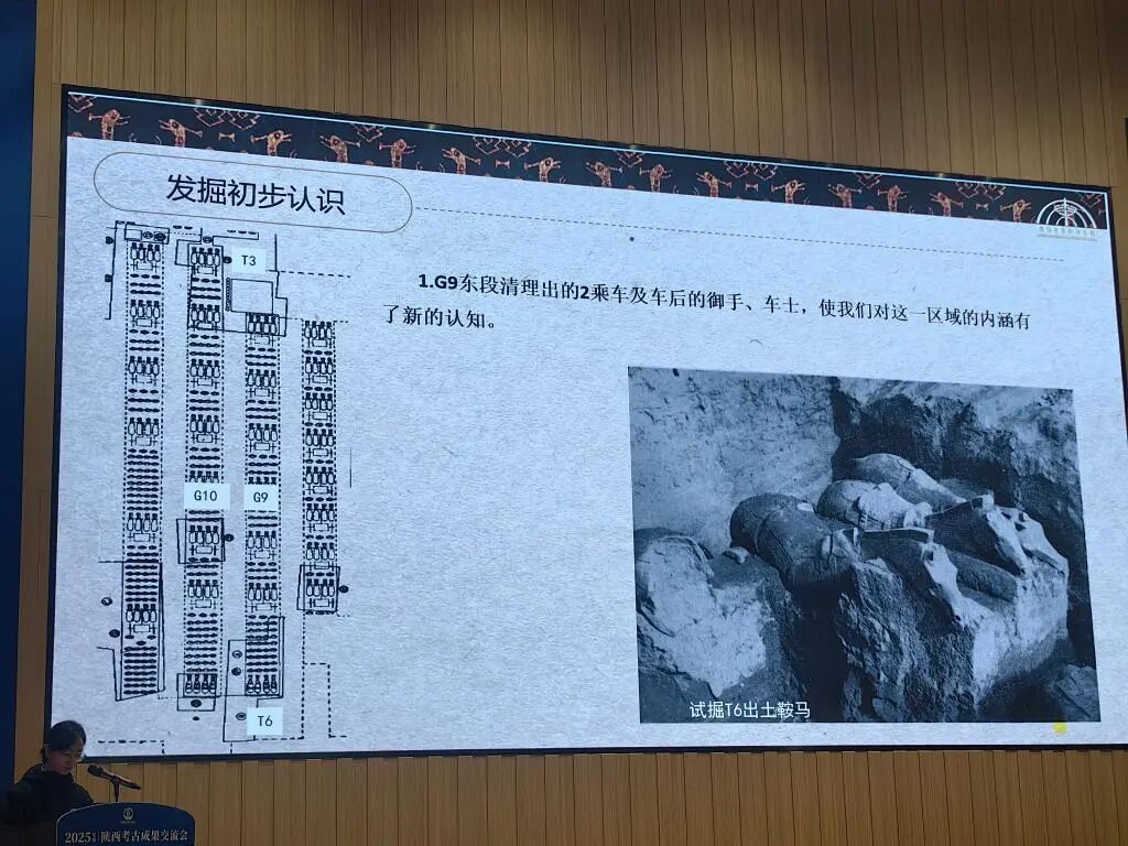 秦兵马俑考古，又有新发现！