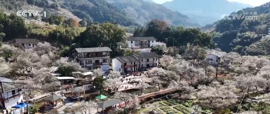 “土味消费”圈粉！特色乡村文旅点燃经济热引擎 为振兴开局注入蓬勃新动能