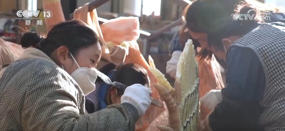 “新年兽”变身文旅市场“流量主角” “智能制造”为年味儿增添科技奇幻色彩 “新年兽”变身文旅市场“流量主角” “智能制造”为年味儿增添科技奇幻色彩