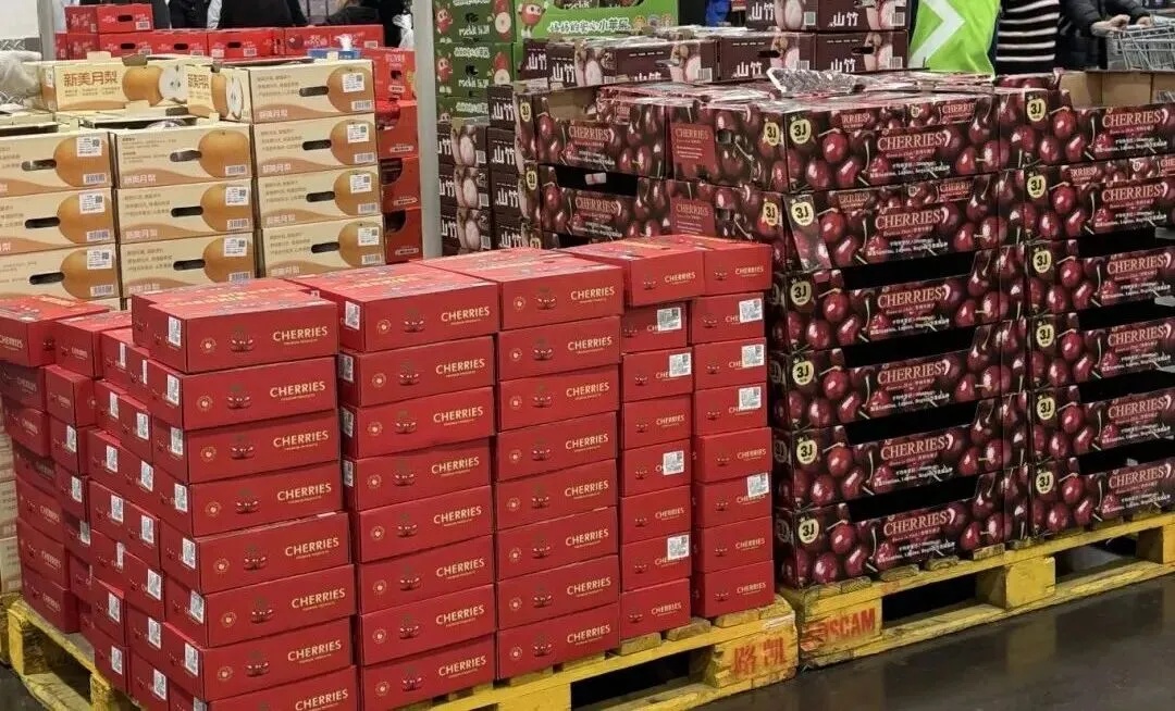 车厘子正大量上市，价格暴跌超30%！业内人士：2月将大涨