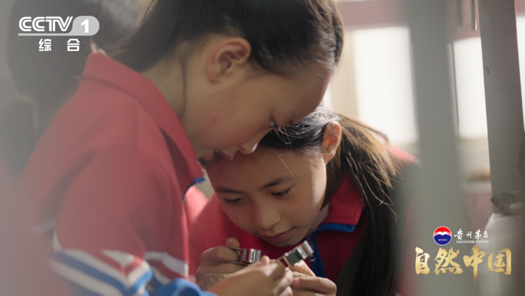 跟随中国地质人，看“隐形金矿”如何现身！