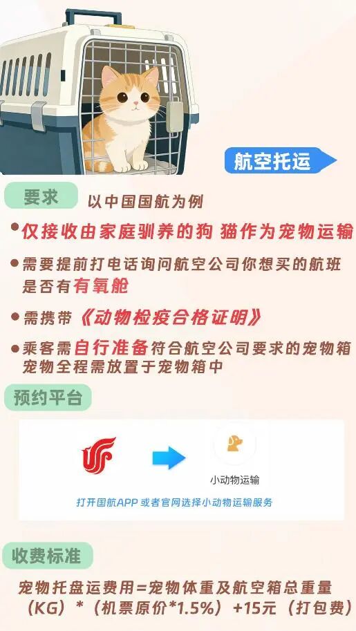 火车35元？飞机1430元？一份看哭养宠人的春运带宠返乡价格清单
