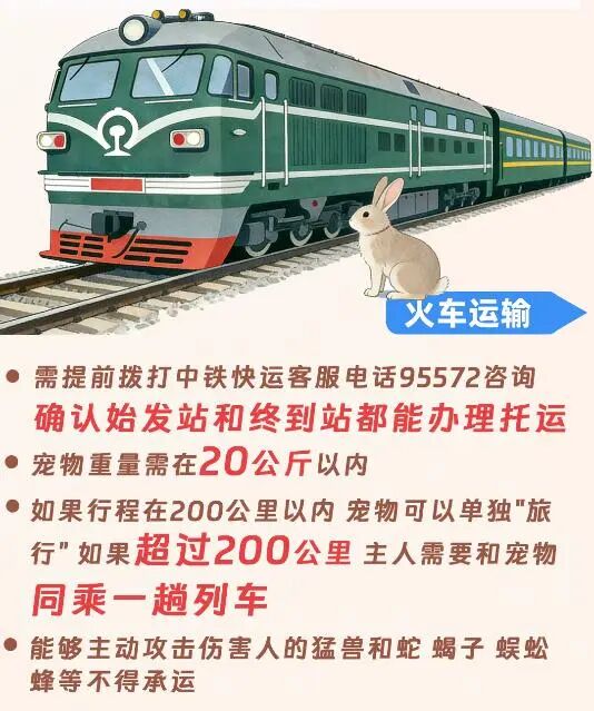 火车35元？飞机1430元？一份看哭养宠人的春运带宠返乡价格清单