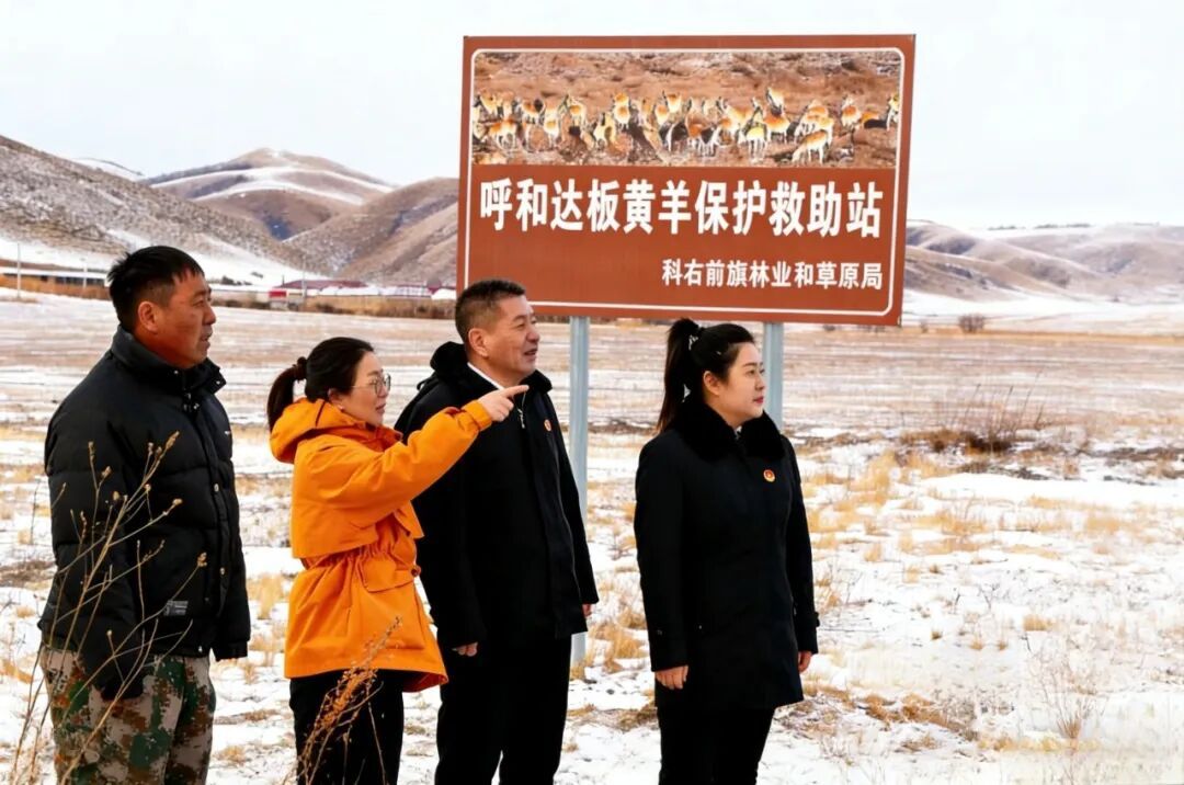 为了那只黄羊，我投出求助的漂流瓶