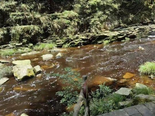 网传“南宁大明山的河水被污染，变成茶色”？这是大自然的馈赠！