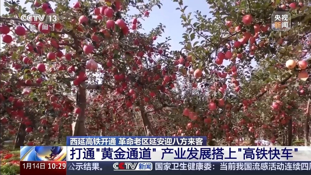 “十五五”开好局起好步丨西延高铁开通带火铜川“冰雪游”