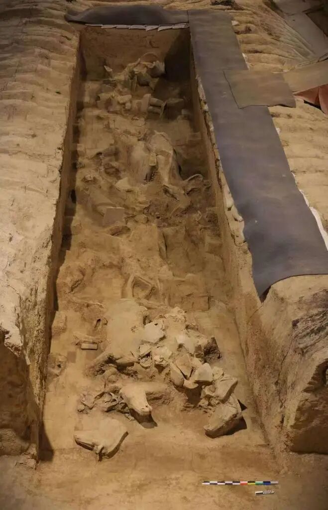 秦兵马俑考古，又有新发现！