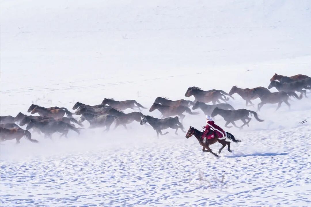 贺娇龙抢救无效不幸离世，在另一片雪原你依然鲜衣怒马……
