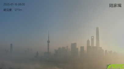 东方明珠今早“消失”了？上海像“迷雾森林”！多区正处于重度污染！尽量别出门！