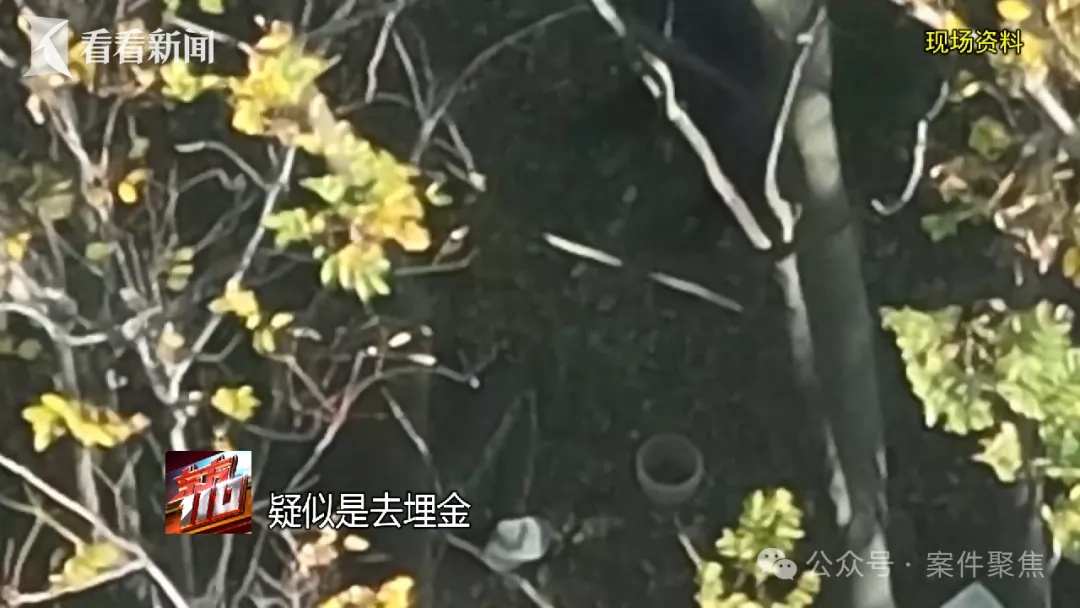 来沪女子专挑上海爷叔下手！“回家按摩”后多人丢失随身金饰品，警方揪出团伙……