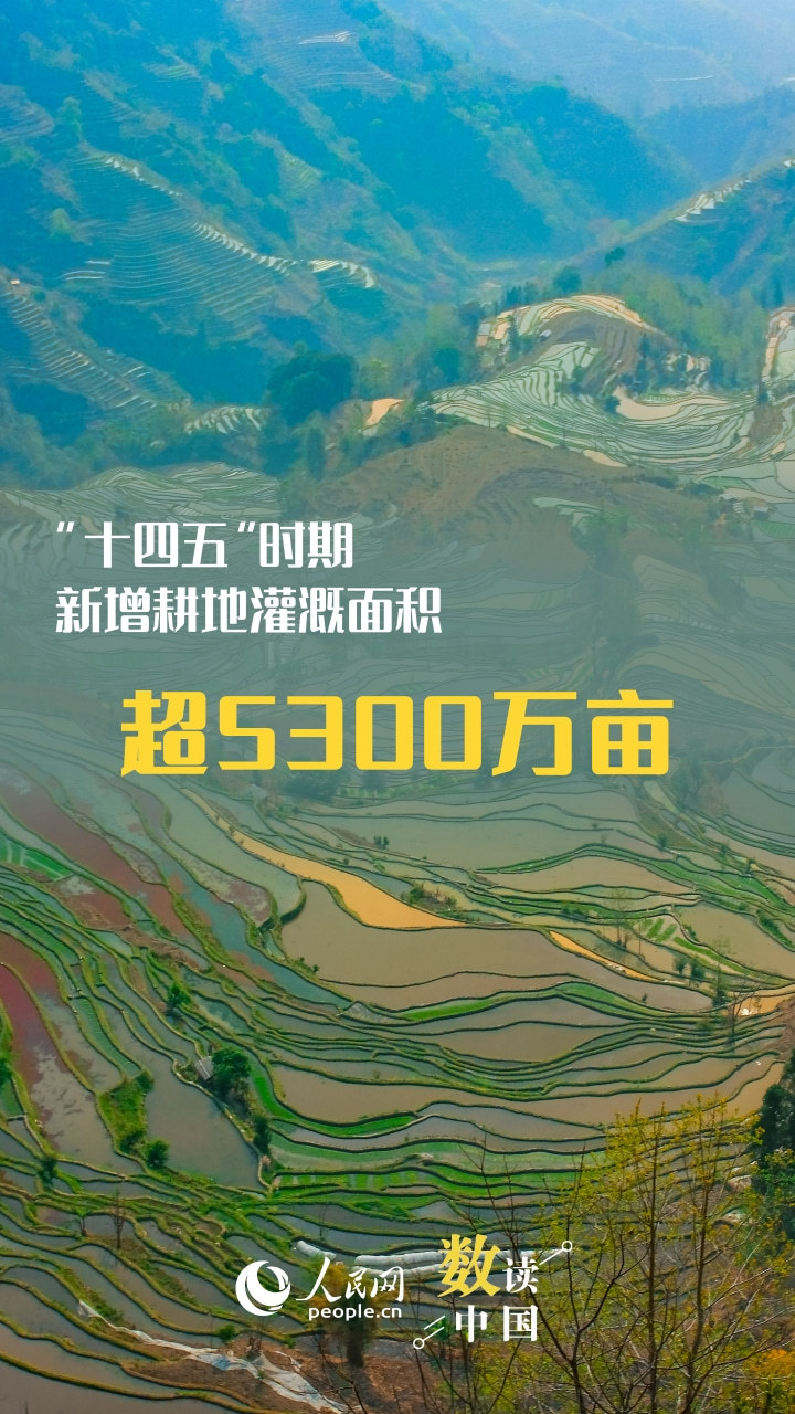 覆盖范围占国土面积80.3% 国家水网建设成果丰硕