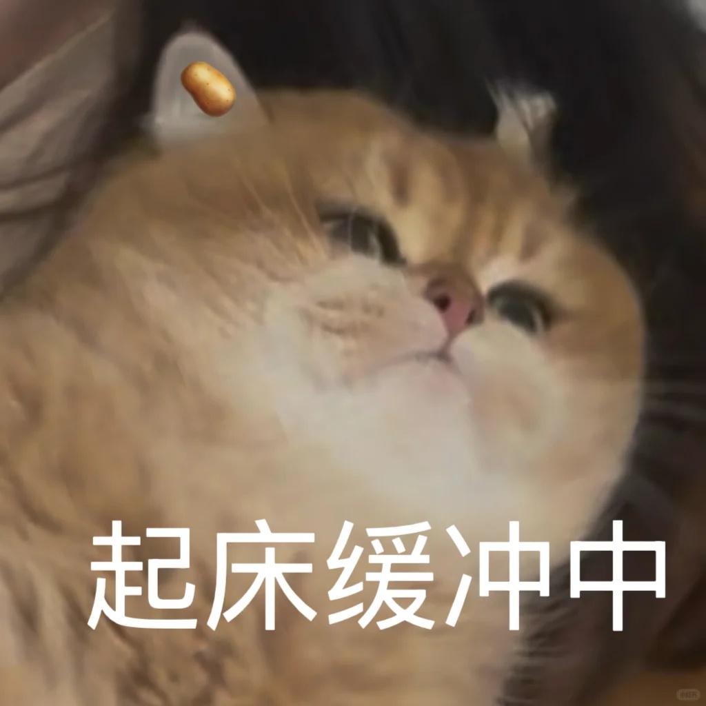 明天起，请务必晚10分钟起床