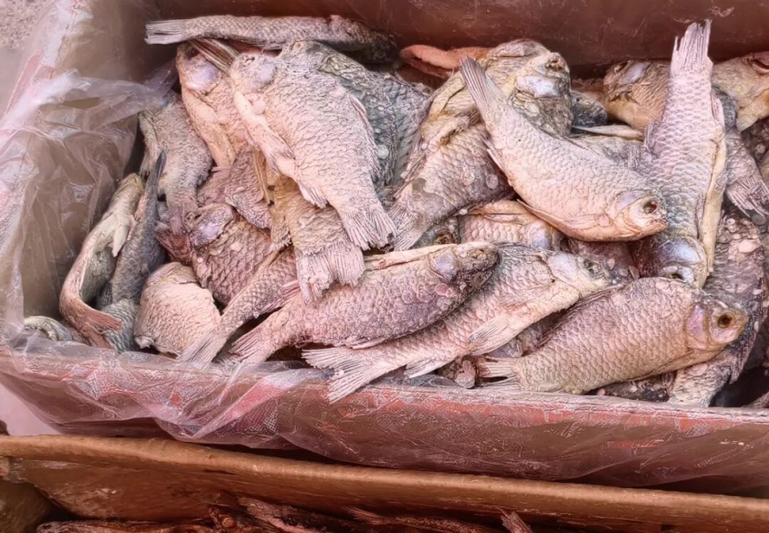 河南千年古庙会竟是“童年记忆博物馆”，篦子、簸萁、古代版“尿不湿”你能认出几样？